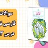 نمونه سوال فارسی نهم درس 13